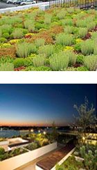 Green roof garden insulation